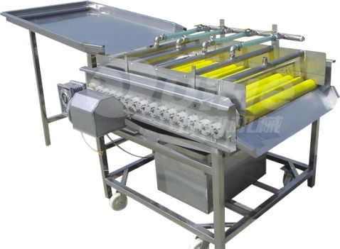 紅薯清洗設備 清洗設備 諸城瑞和食品機械公司 圖 高清圖片 高清大圖