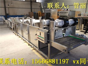 蔬菜加工機械全攻略 菠菜、腌黃瓜與野菜清洗設備的應用